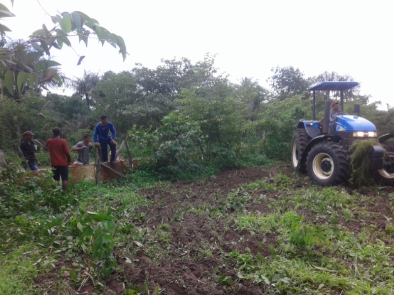 Prefeitura de Pedro II prepara terras de agricultores familiares para o plantio - Imagem 1