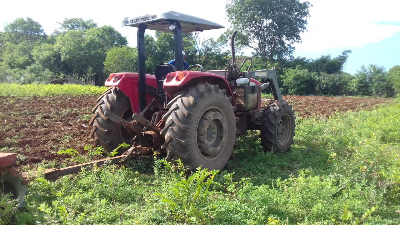 Agricultura familiar recebe apoio da prefeitura  - Imagem 2