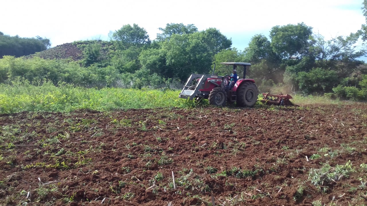 Agricultura familiar recebe apoio da prefeitura  - Imagem 3