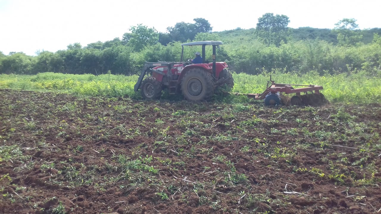 Agricultura familiar recebe apoio da prefeitura  - Imagem 1