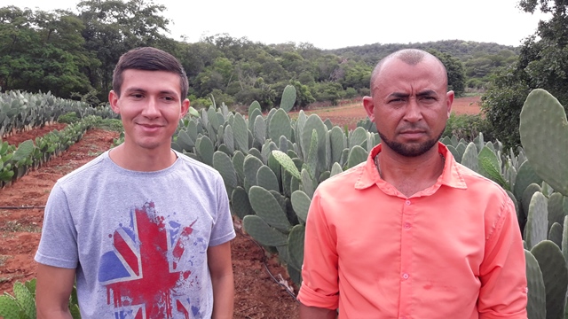 Dom Expedito Lopes ultrapassa produções nacionais no cultivo da palma Adensada. - Imagem 8