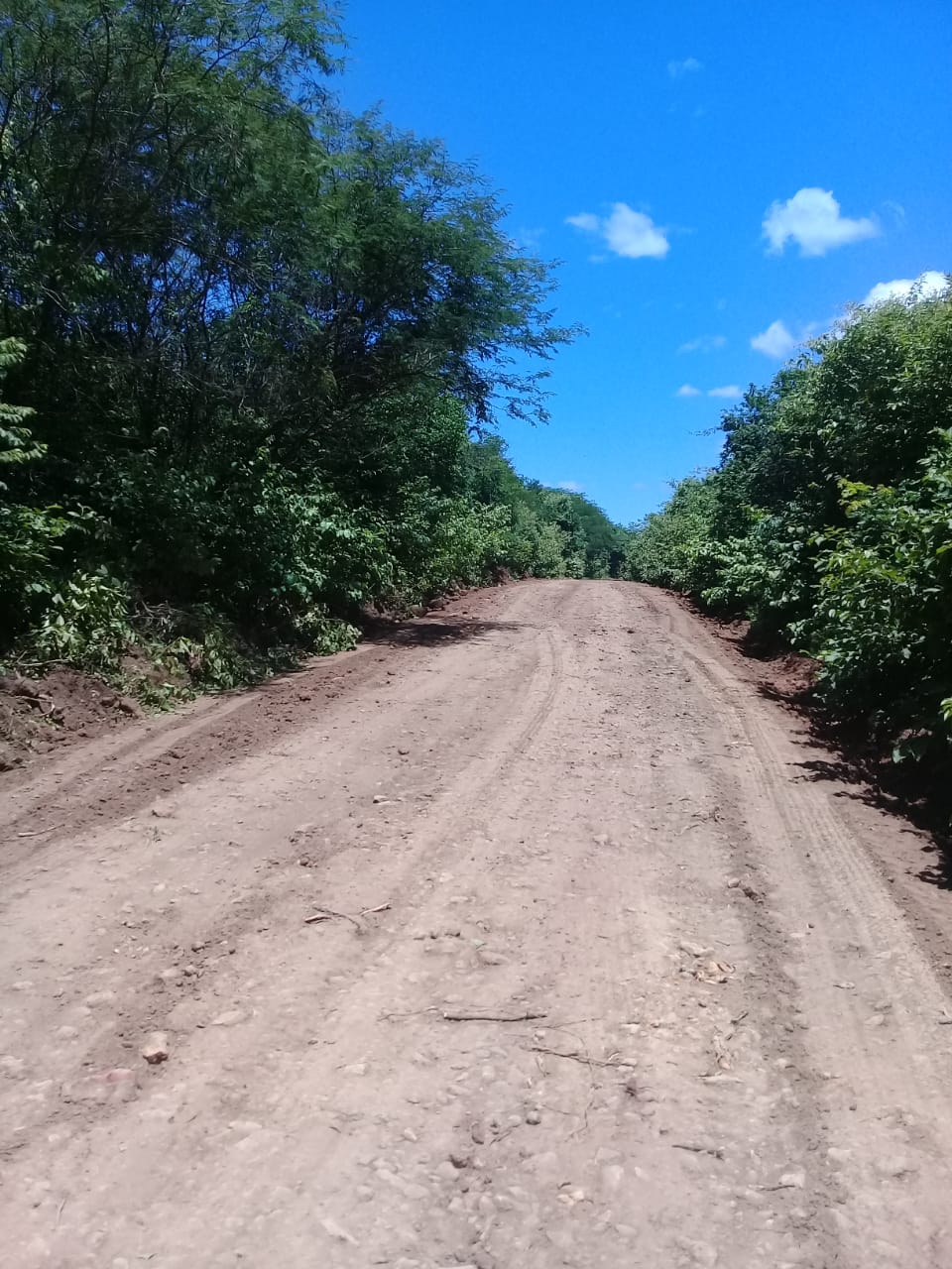 Estradas vicinais recebem melhorias pela prefeitura de Monsenhor Gil  - Imagem 4