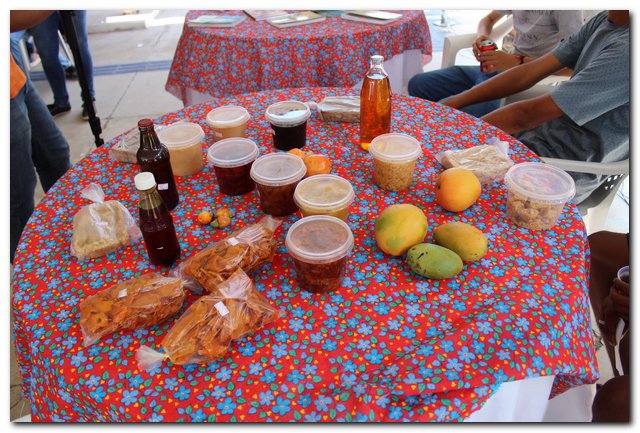 Ipiranga do Piauí sedia V Feira Territorial do Vale do Sambito - Imagem 54