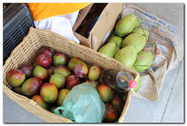 Ipiranga do Piauí sedia V Feira Territorial do Vale do Sambito - Imagem 60