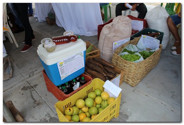 Ipiranga do Piauí sedia V Feira Territorial do Vale do Sambito - Imagem 63
