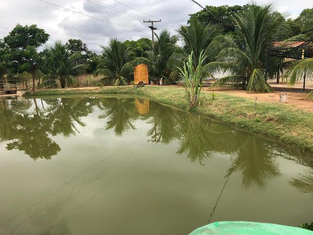 Confira as imagens do Dia de Lazer para as crianças do PCF em Dom Expedito Lopes - Imagem 149