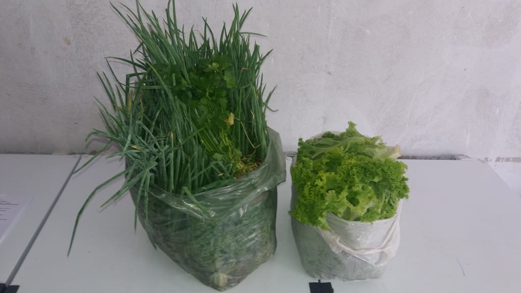 *Prefeitura de Pedro II garante merenda de qualidade a mais de 7 mil estudantes da rede municipal - Imagem 7