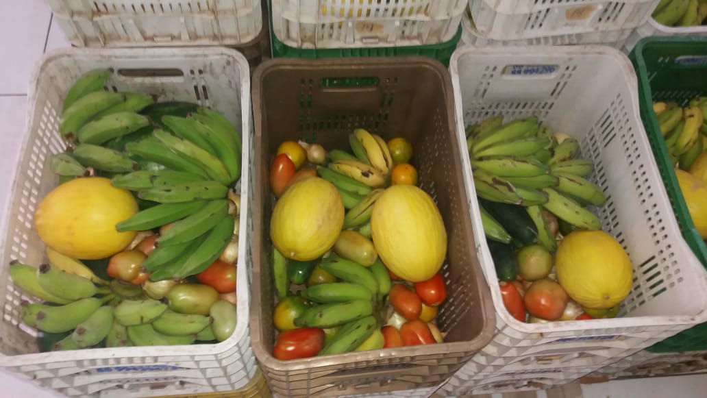 *Prefeitura de Pedro II garante merenda de qualidade a mais de 7 mil estudantes da rede municipal - Imagem 9