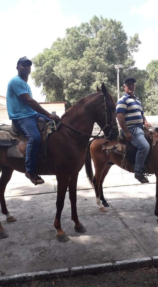 Prefeito João Luiz participa da III festa do Vaqueiro  - Imagem 6