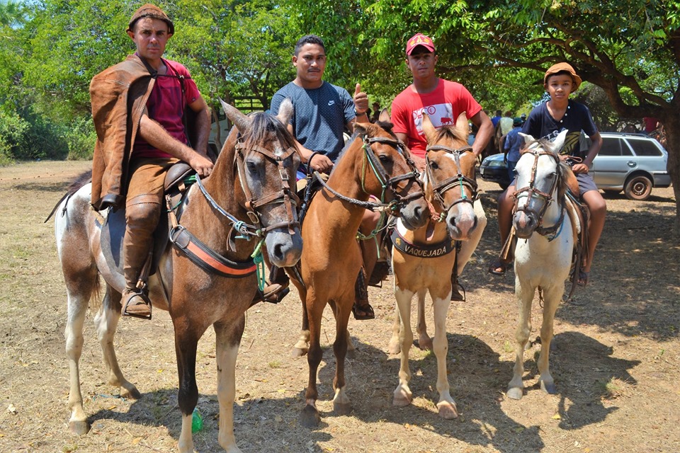 Prefeitura de Joaquim Pires promove a I Festa dos Vaqueiros - Imagem 26