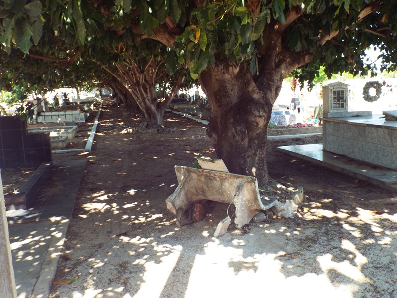 Município prepara cemitérios para a chegada do dia de finados  - Imagem 28