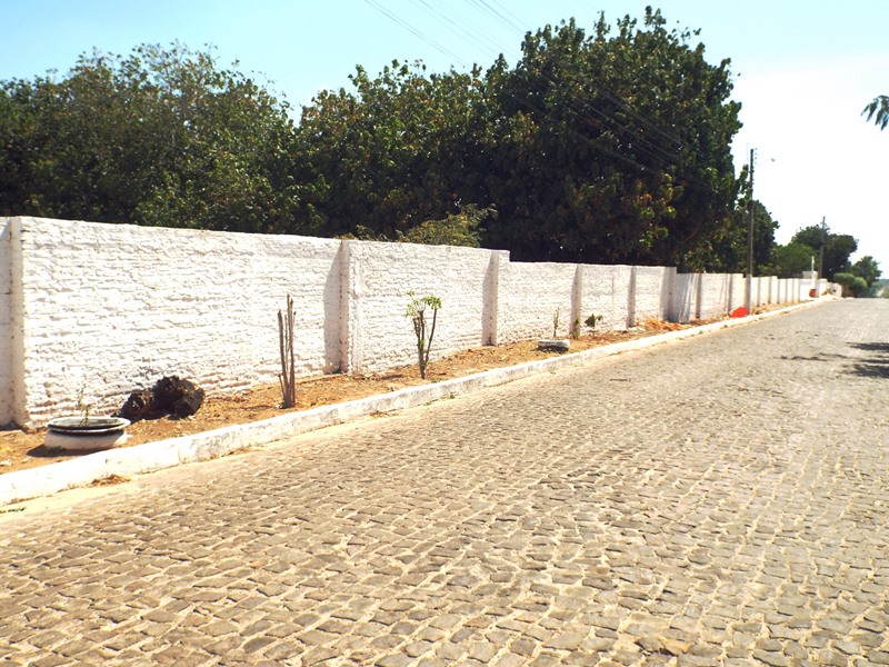 Município prepara cemitérios para a chegada do dia de finados  - Imagem 22