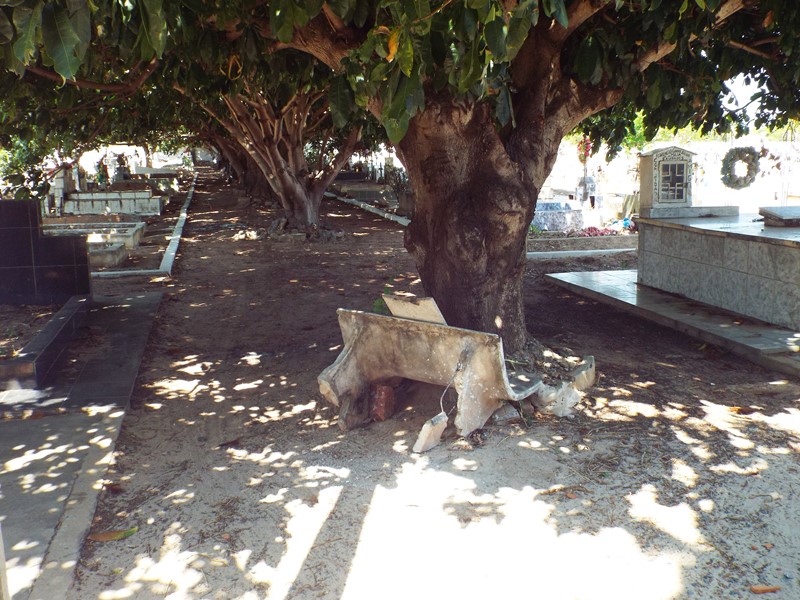 Município prepara cemitérios para a chegada do dia de finados  - Imagem 27