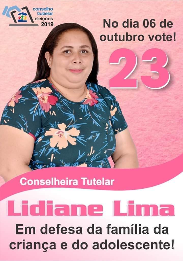 Renovação de 100% no Conselho Tutelar de Monsenhor Gil - Imagem 12