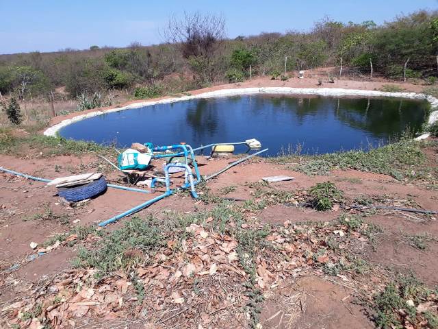 Secretaria Mun. de Agricultura e SENAR realizaram o curso Negócio Certo Rural em Dom Expedito Lopes - Imagem 10