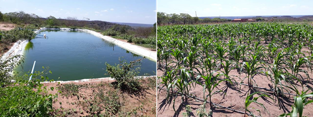 Secretaria Mun. de Agricultura e SENAR realizaram o curso Negócio Certo Rural em Dom Expedito Lopes - Imagem 3