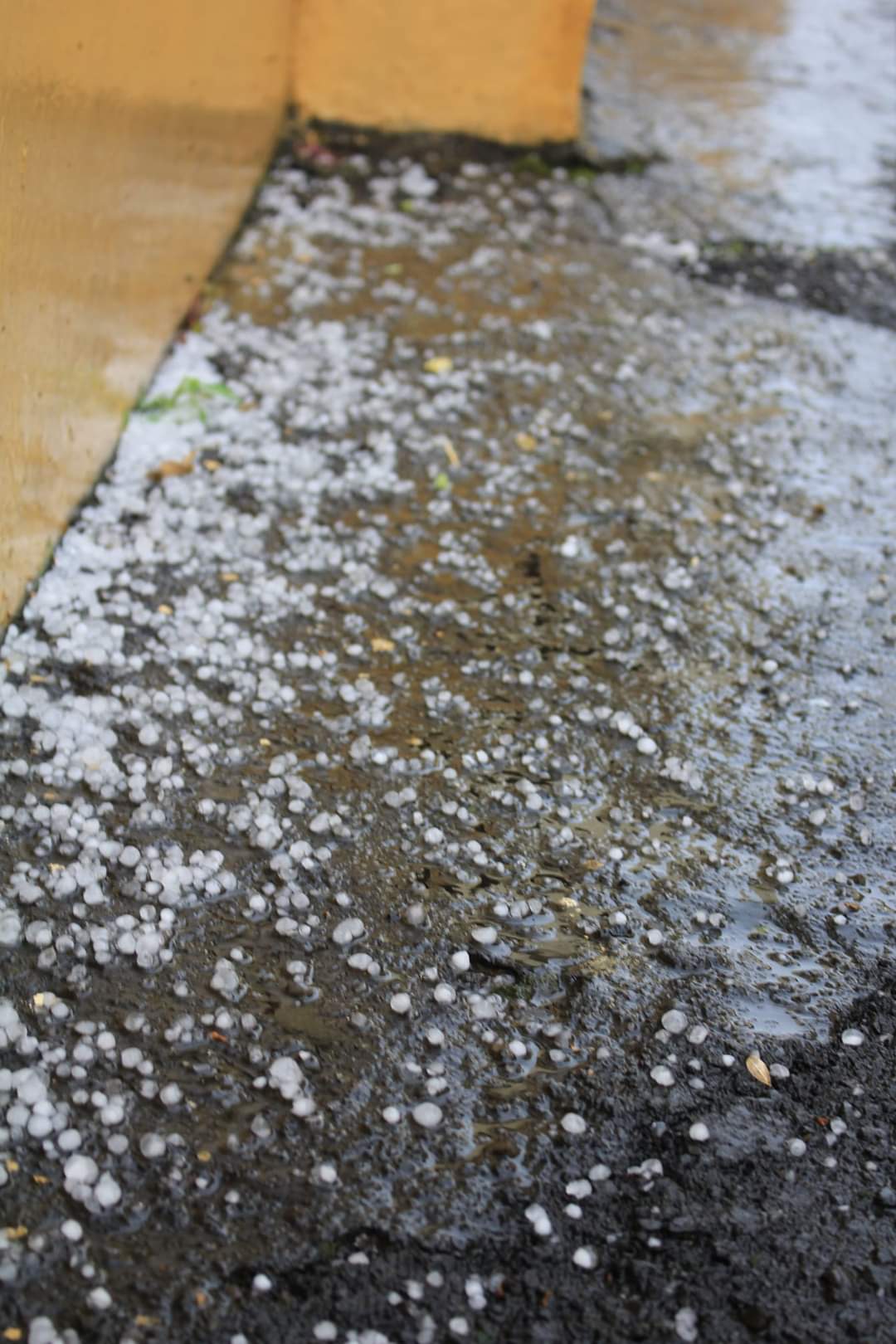 Chuva de granizo na Baixa Grande em Monsenhor Gil  - Imagem 1
