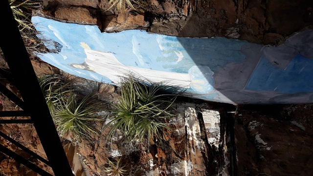 Dia de Finados em DEL – Visitantes foram surpreendidos nos cemitérios com organização, limpeza e missa. - Imagem 92