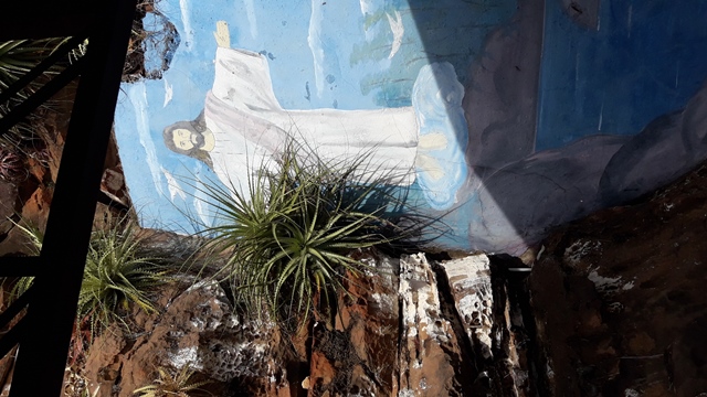 Dia de Finados em DEL – Visitantes foram surpreendidos nos cemitérios com organização, limpeza e missa. - Imagem 94