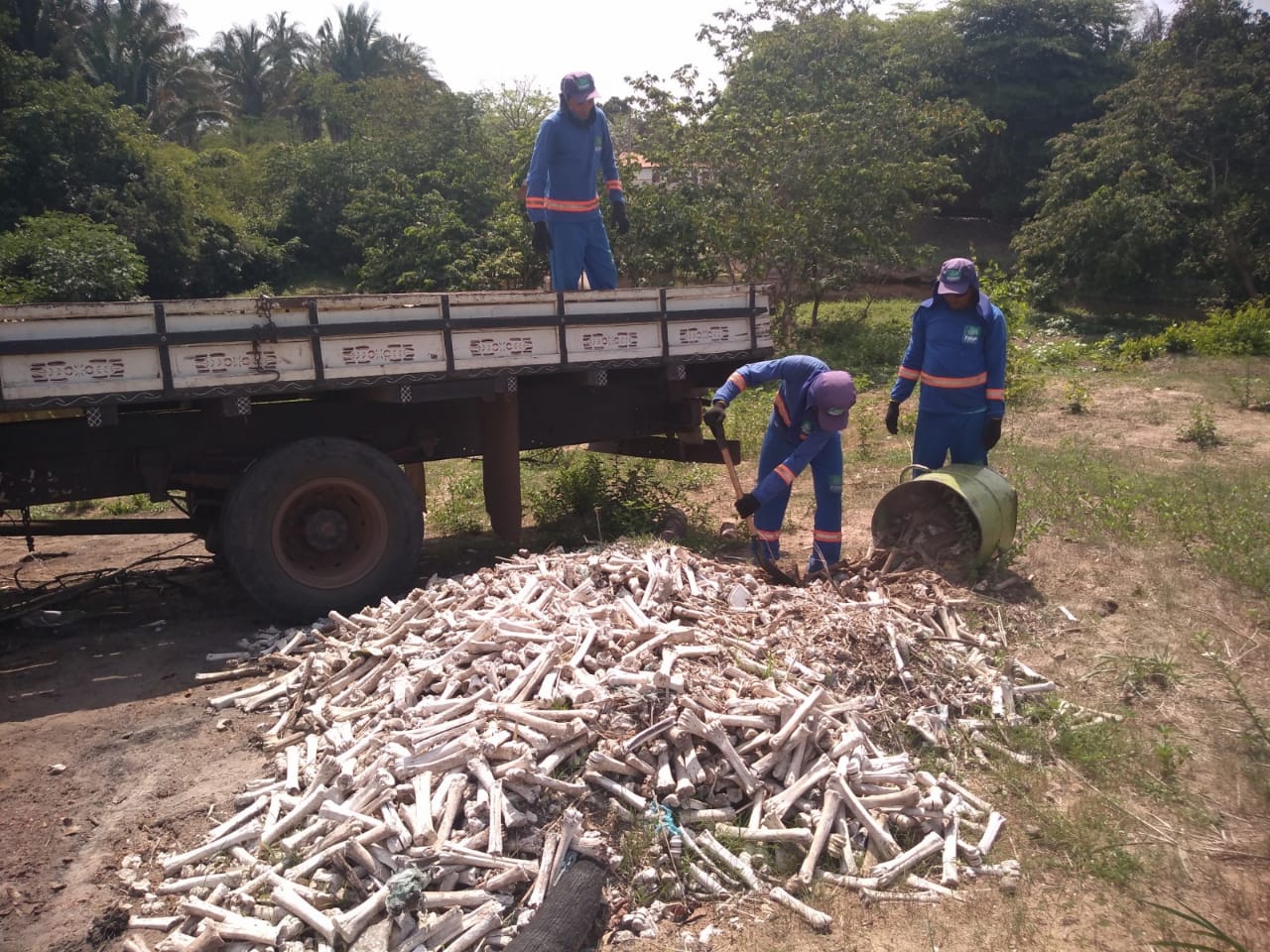 Prefeitura retira ossos de animais de riacho  - Imagem 1