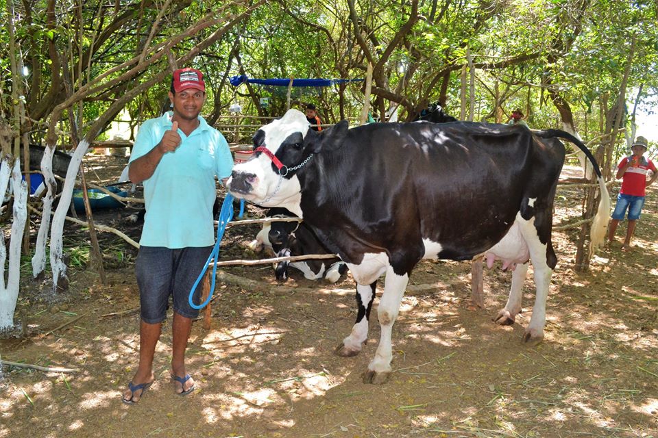 Prefeito Genival Bezerra faz abertura oficial da XII Expofeira de Caprinos e Ovinos - Imagem 13