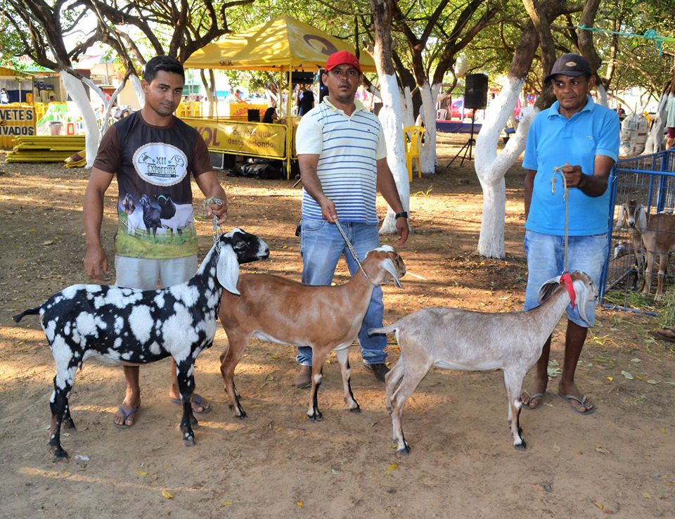 Prefeito Genival Bezerra faz abertura oficial da XII Expofeira de Caprinos e Ovinos - Imagem 26