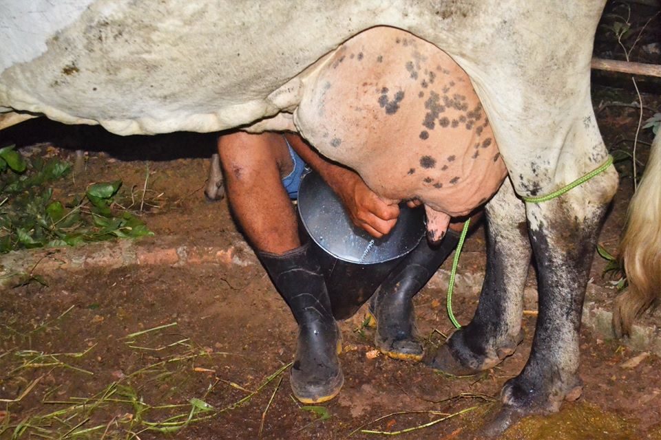 Prefeito Genival Bezerra faz abertura oficial da XII Expofeira de Caprinos e Ovinos - Imagem 33