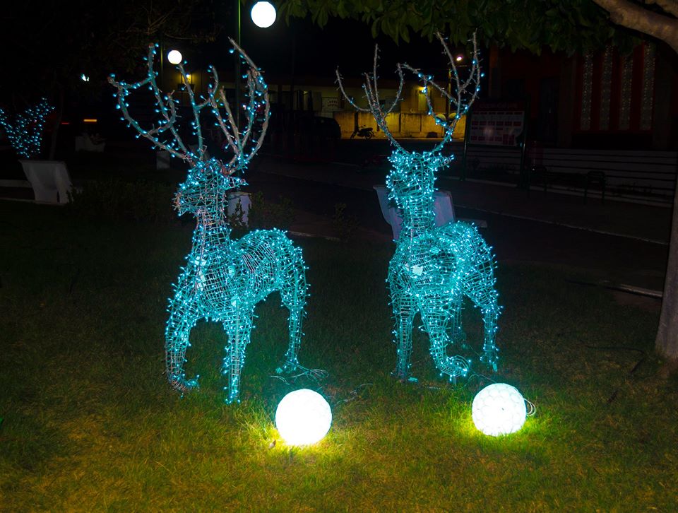 Decoração Natalina da Praça 28 de Dezembro de Joaquim Pires - Imagem 6