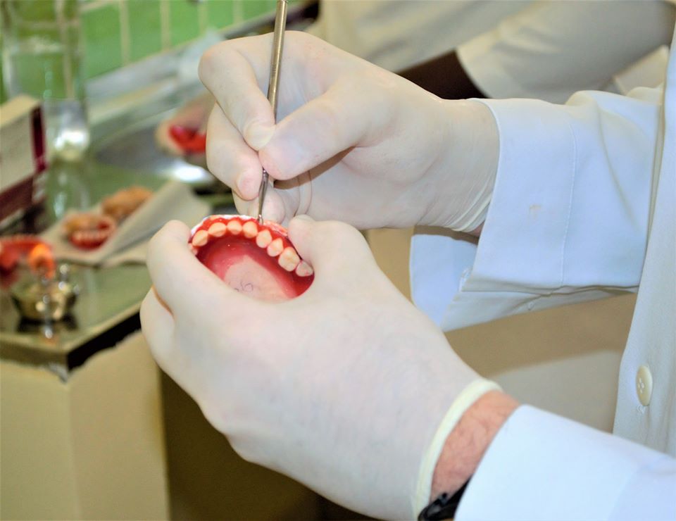 Prefeitura de Joaquim Pires entrega a primeira etapa de próteses dentarias - Imagem 8