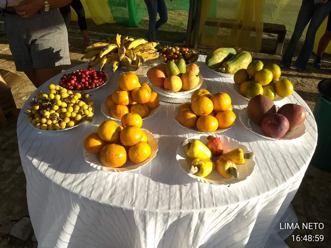 Ações integradas das Secretarias de Saúde e Desenvolvimento Rural marcam o 5° dia de comemorações - Imagem 9