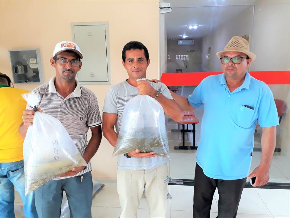 SMA de Joaquim Pires entrega a primeira etapa de alevinos de 2019 - Imagem 4