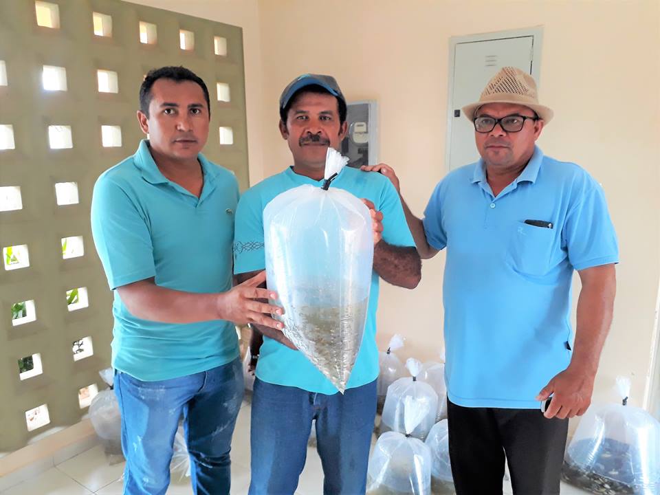 SMA de Joaquim Pires entrega a primeira etapa de alevinos de 2019 - Imagem 5