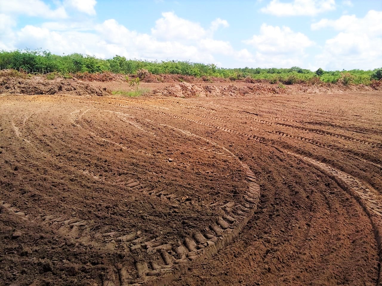 Prefeitura de Joaquim Pires realiza aração de terras para pequenos produtores rurais - Imagem 1