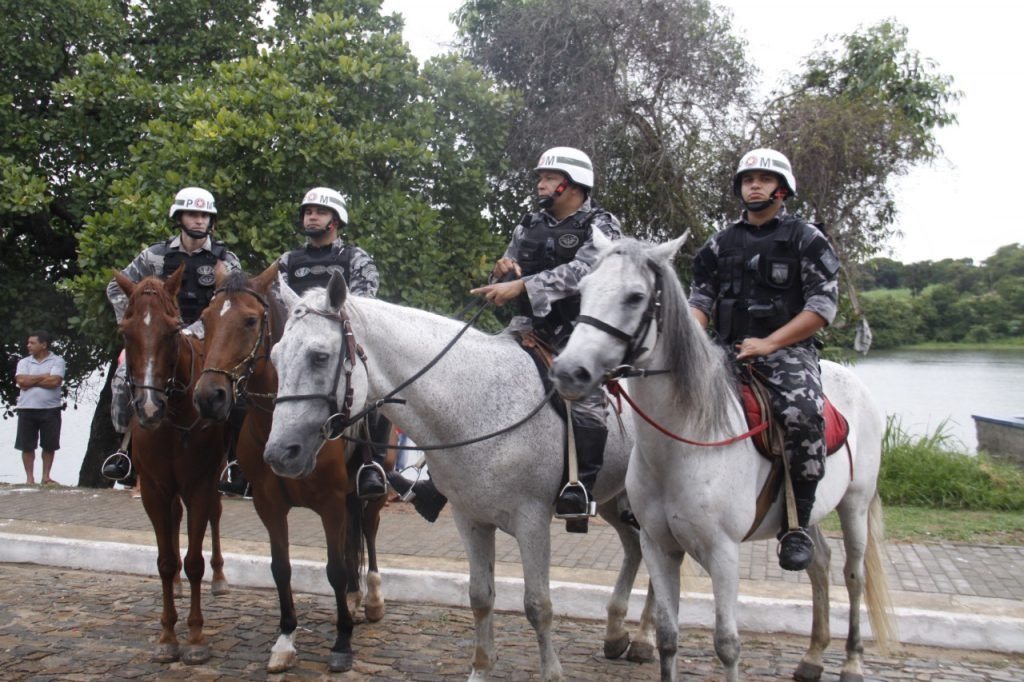 whatsapp-image-2019-03-02-at-19-25-286