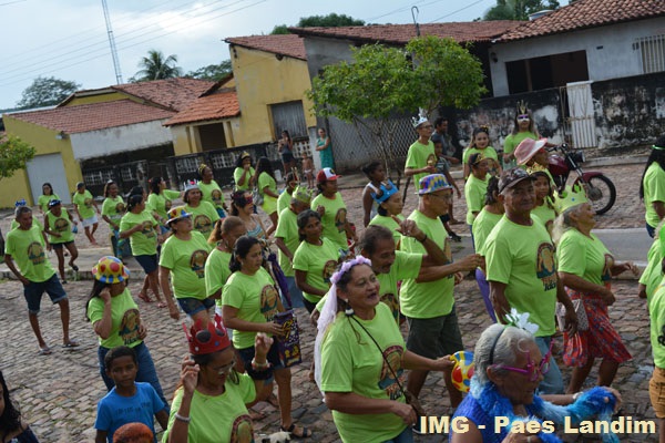 Bloco da 3ª Idade animou sábado de carnaval em N. S. dos Remédios - Imagem 2