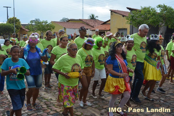 Bloco da 3ª Idade animou sábado de carnaval em N. S. dos Remédios - Imagem 1