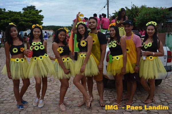 Multidão participa da 7ª edição do Corso de N. S. dos Remédios - Imagem 3