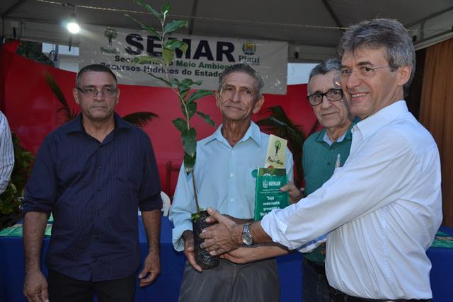 No aniversario da cidade prefeitura implanta programa “Piauí Mais Verde” em Dom Expedito Lopes. - Imagem 4