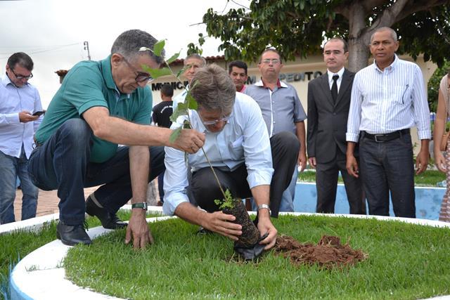 No aniversario da cidade prefeitura implanta programa “Piauí Mais Verde” em Dom Expedito Lopes. - Imagem 3