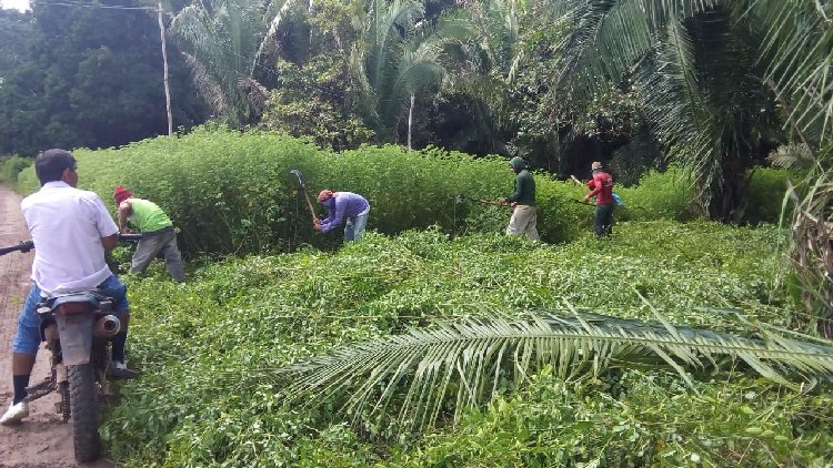 Limpeza de vias e espaços públicos garantem mesa farta a milhares famílias em São João do Arraial - Imagem 9