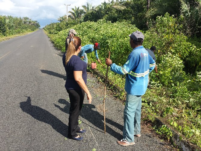 Limpeza de vias e espaços públicos garantem mesa farta a milhares famílias em São João do Arraial - Imagem 8