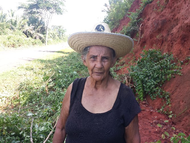 Limpeza de vias e espaços públicos garantem mesa farta a milhares famílias em São João do Arraial - Imagem 6
