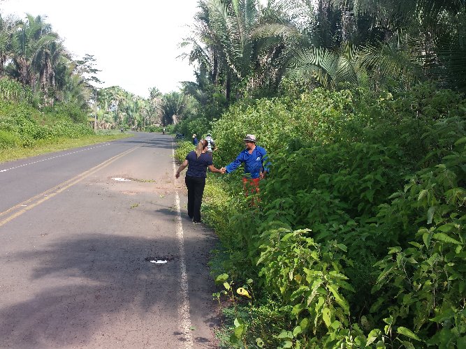 Limpeza de vias e espaços públicos garantem mesa farta a milhares famílias em São João do Arraial - Imagem 1