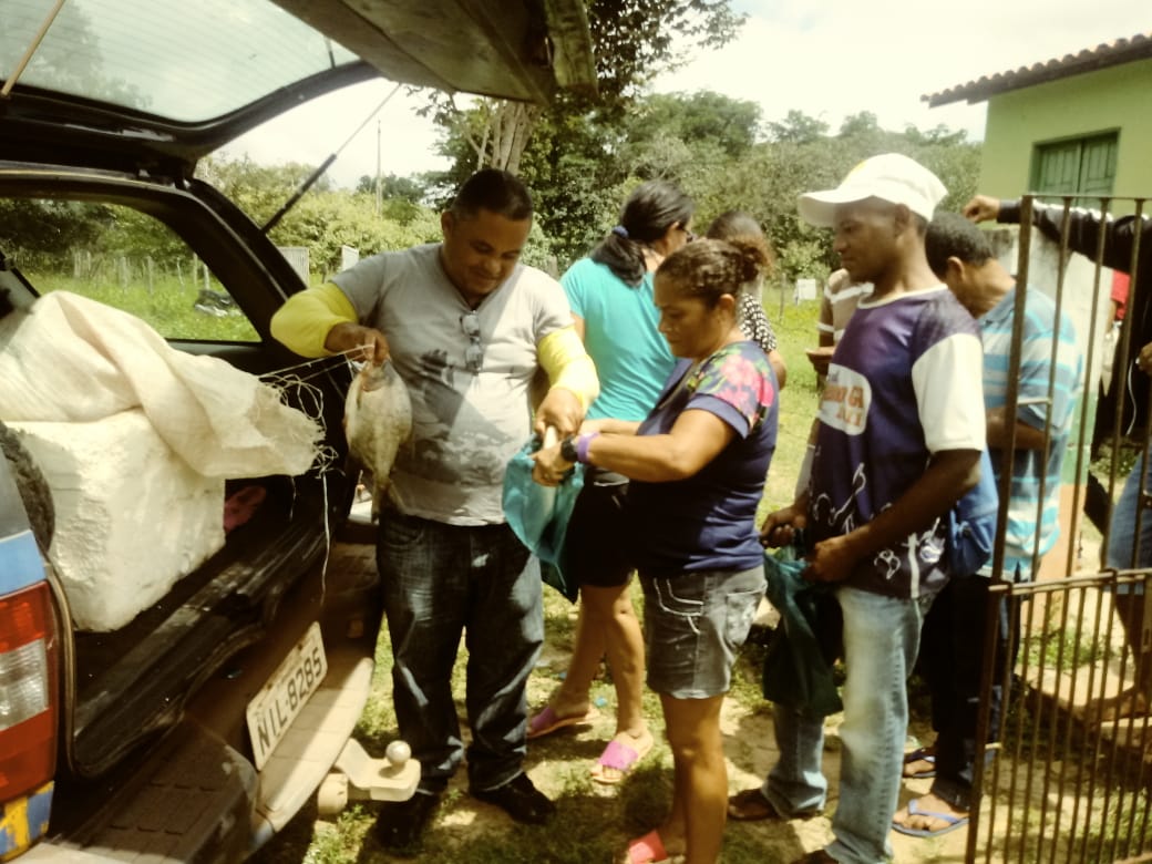 Prefeito faz entrega de pescado em todo município - Imagem 4