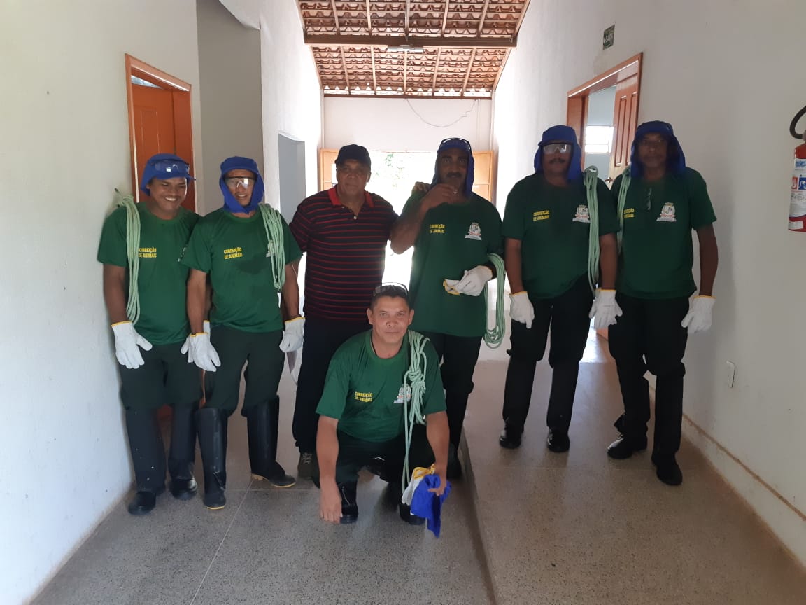 Operação cidade sem animais soltos pelas ruas 