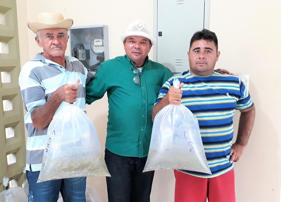 SMA de Joaquim Pires realiza a segunda etapa da entrega de alevinos aos piscicultores - Imagem 5