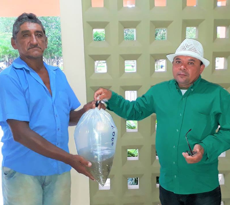 SMA de Joaquim Pires realiza a segunda etapa da entrega de alevinos aos piscicultores