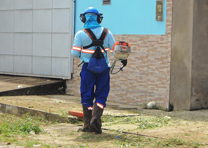 Lokal Serviços já está atuando em Pedro II nos serviços de limpeza e coleta de lixo  - Imagem 12