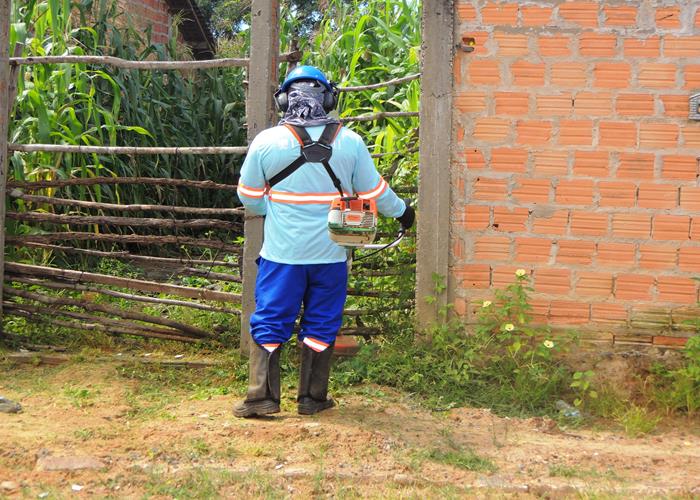 Lokal Serviços já está atuando em Pedro II nos serviços de limpeza e coleta de lixo  - Imagem 10