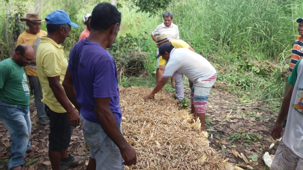 Assentamento Flores em Uruçuí recebe curso de compostagem - Imagem 1
